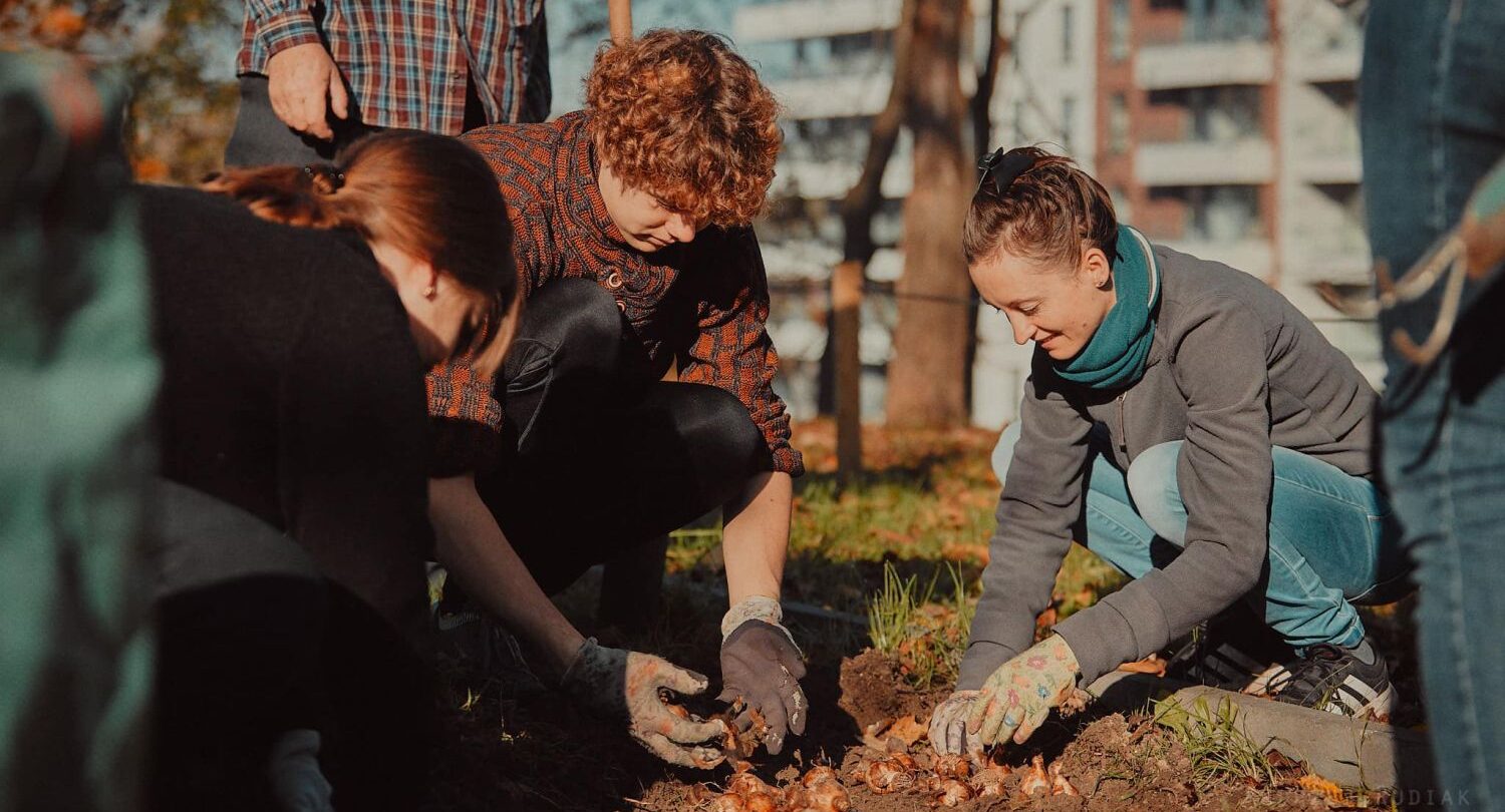 Volunteering Project at Auschwitz Jewish Center 2026, Oświęcim